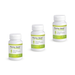 Factor Base Detox XXL - doplněk stravy pro detoxikaci a pročištění organismu