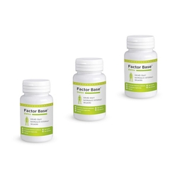 Factor Base Detox XXL