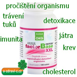 Faktor Base Detox XXL - účinné detoxikace s pomocí přírody