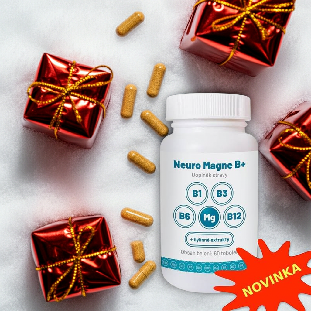 Neuro Magne B+ pro podporu nervovej soustavy
